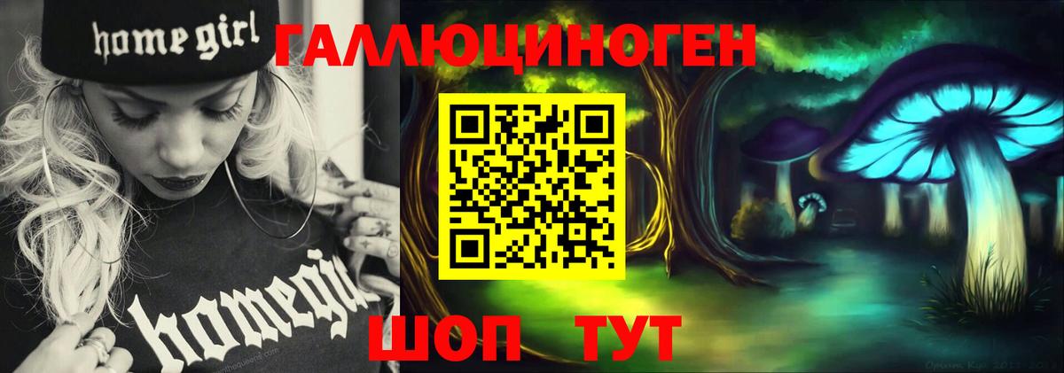 Псилоцибиновые грибы GOLDEN TEACHER Коряжма
